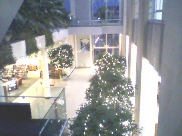 Toledo-Lucas County Public Library-托莱多必去景点