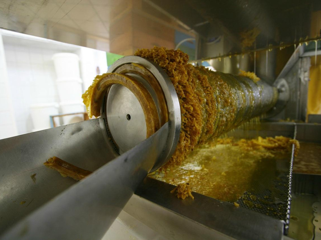 Apicoltura Coppari-Chiaravalle必去景点