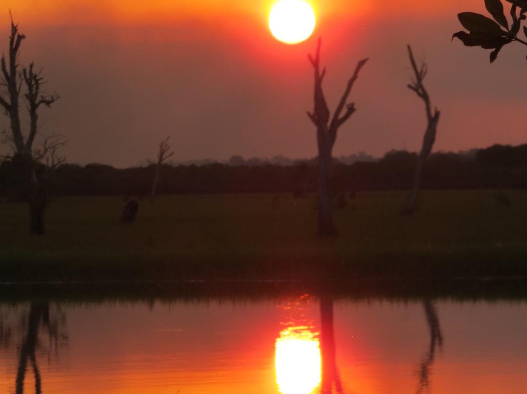 Wayoutback Australian Safaris景点图片
