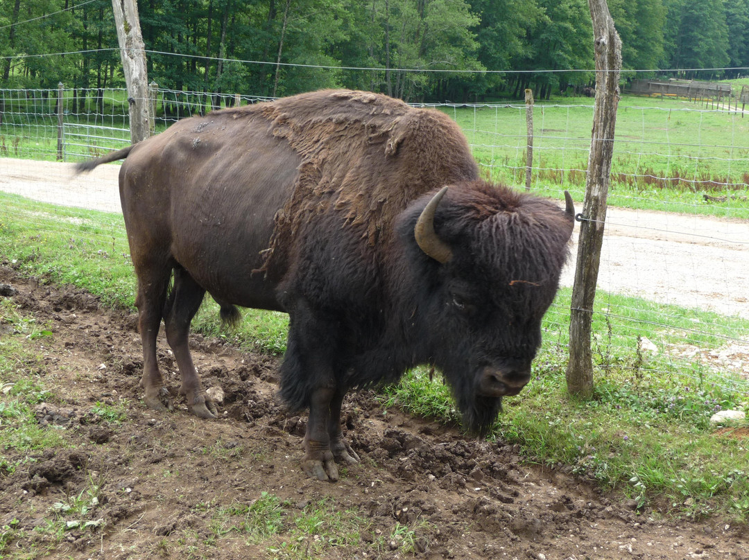 Parc Animalier du Herisson-Menetrux-en-Joux必去景点