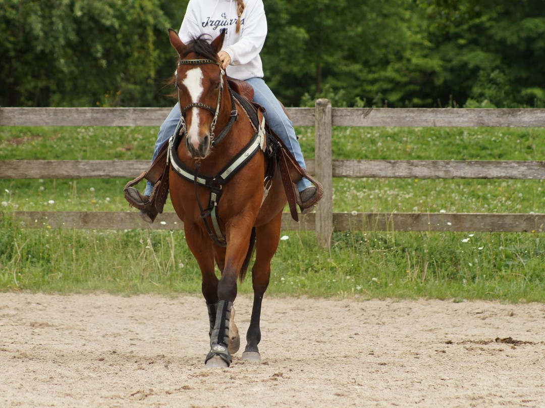 Wildwood Manor Ranch-Georgetown必去景点