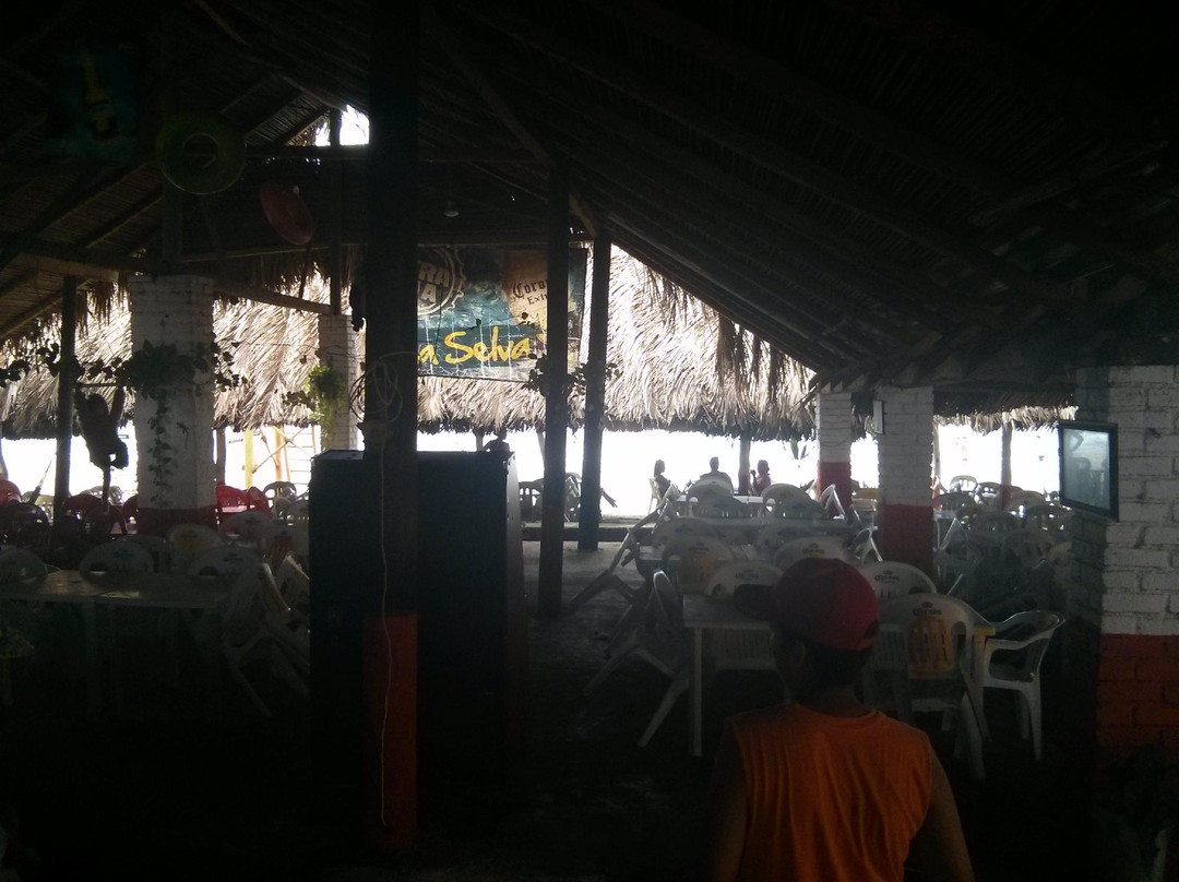 Platanitos Playa Beach-Platanitos必去景点