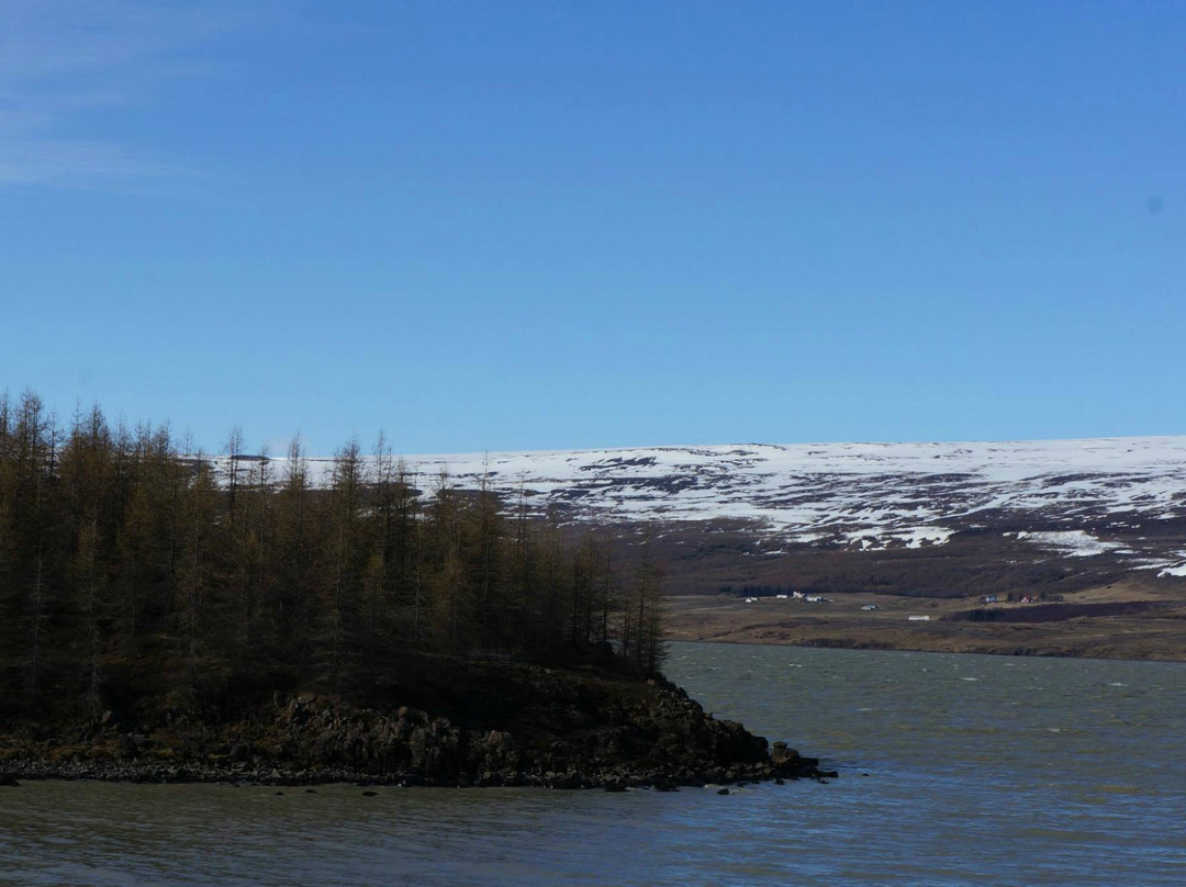 Hallormsstadur Forestry Reserve-埃伊尔斯塔济必去景点