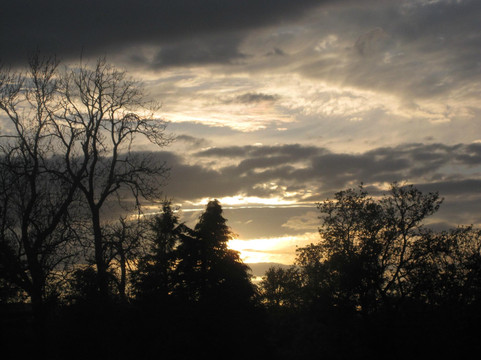 Schonwald Bed & Breakfast主图