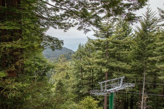 Trees of Mystery-克拉马斯必去景点