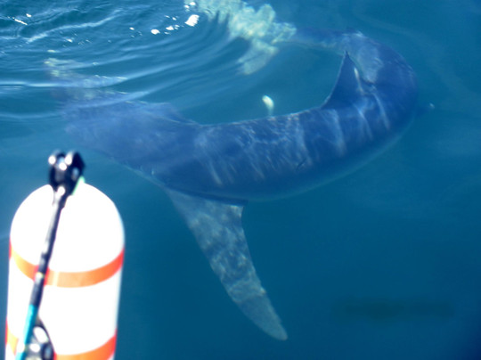 Diamond Pass Outfitters-南波特兰必去景点