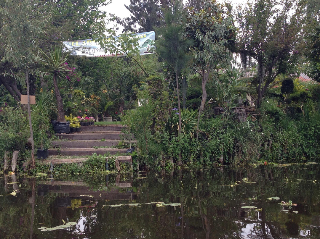 Floating Gardens of Xochimilco-墨西哥城必去景点