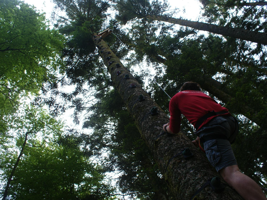 Parc d'Aventures du Nideck-Oberhaslach必去景点