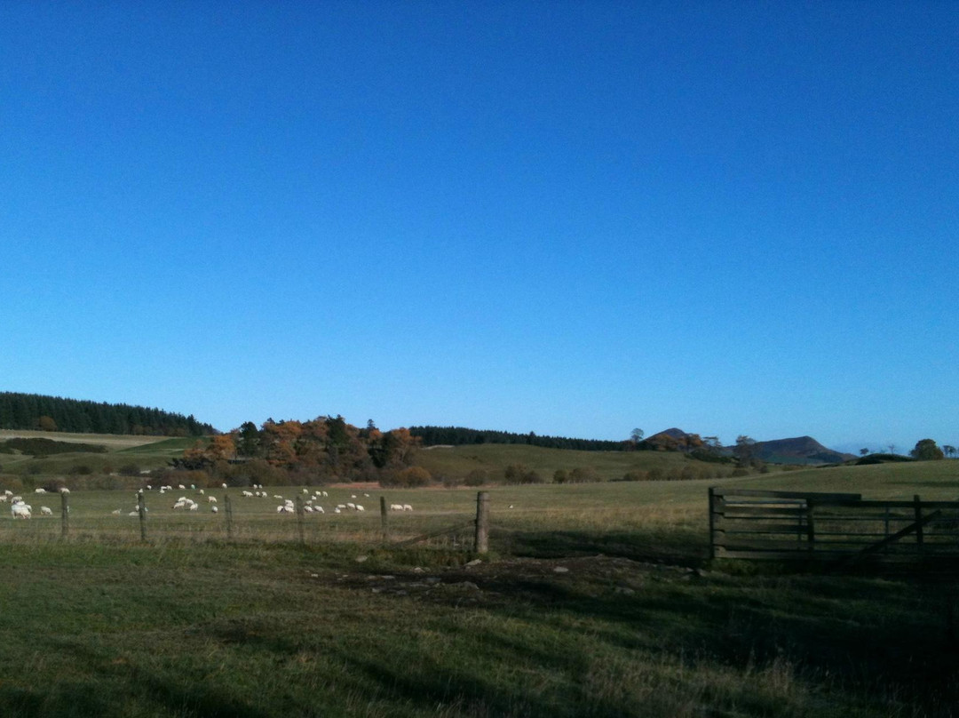 Eildon Hills-Melrose必去景点