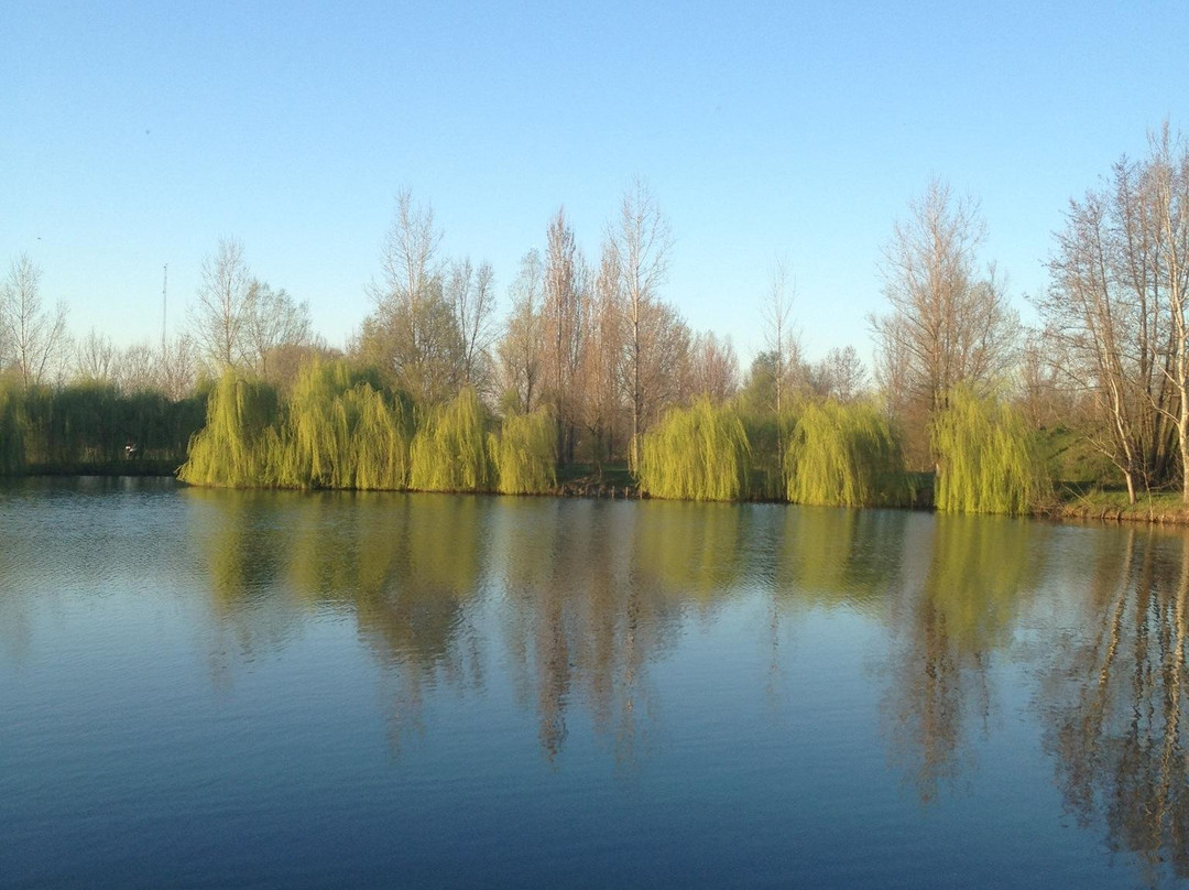 Parco Comunale 3 Laghi景点图片