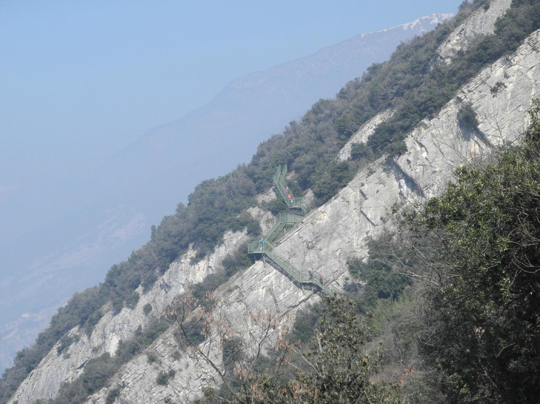 Parco Avventura delle Busatte景点图片