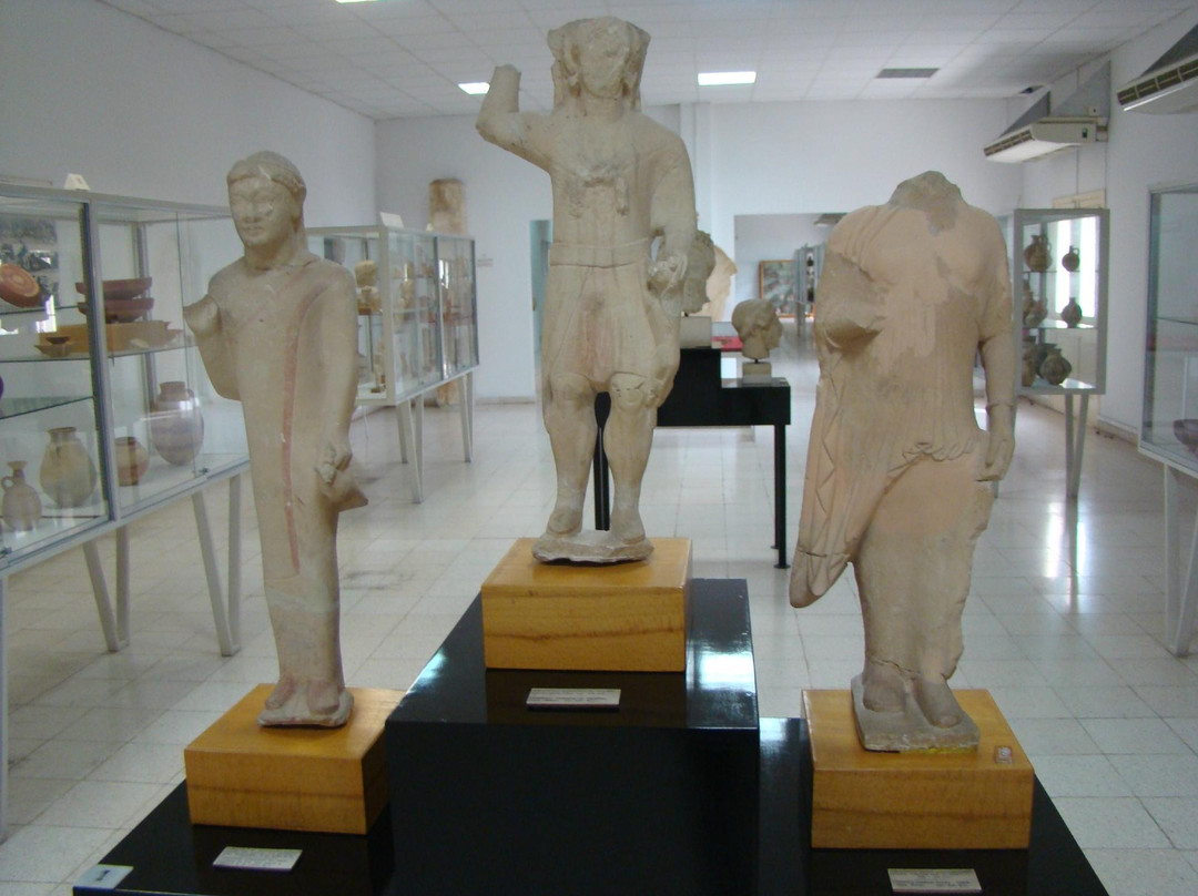 Larnaka District Archaeological Museum-拉纳加必去景点