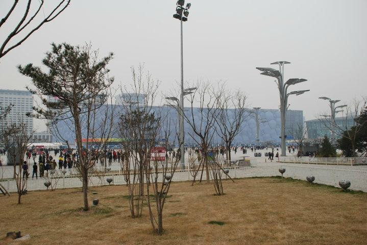 鸟巢(国家体育场)-北京市必去景点