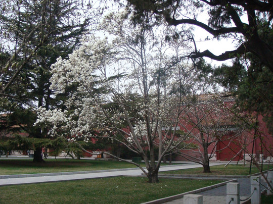 中山音乐堂-北京市必去景点