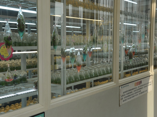 北京世界花卉大观园-北京市必去景点