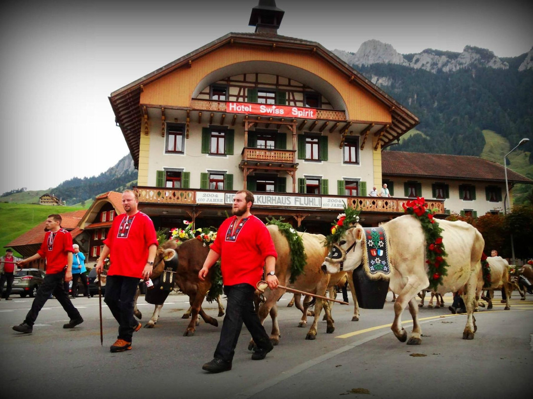 Hotel & Kurhaus Fluhli主图