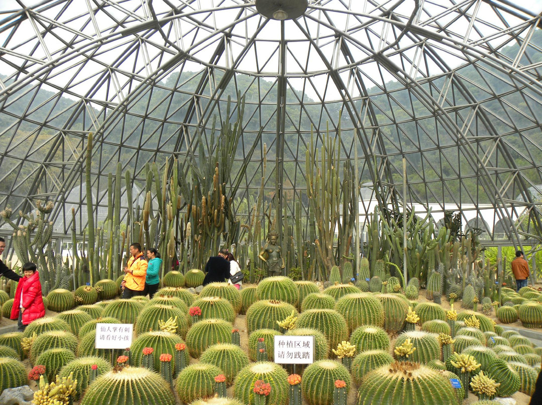 仙湖植物园-深圳市必去景点