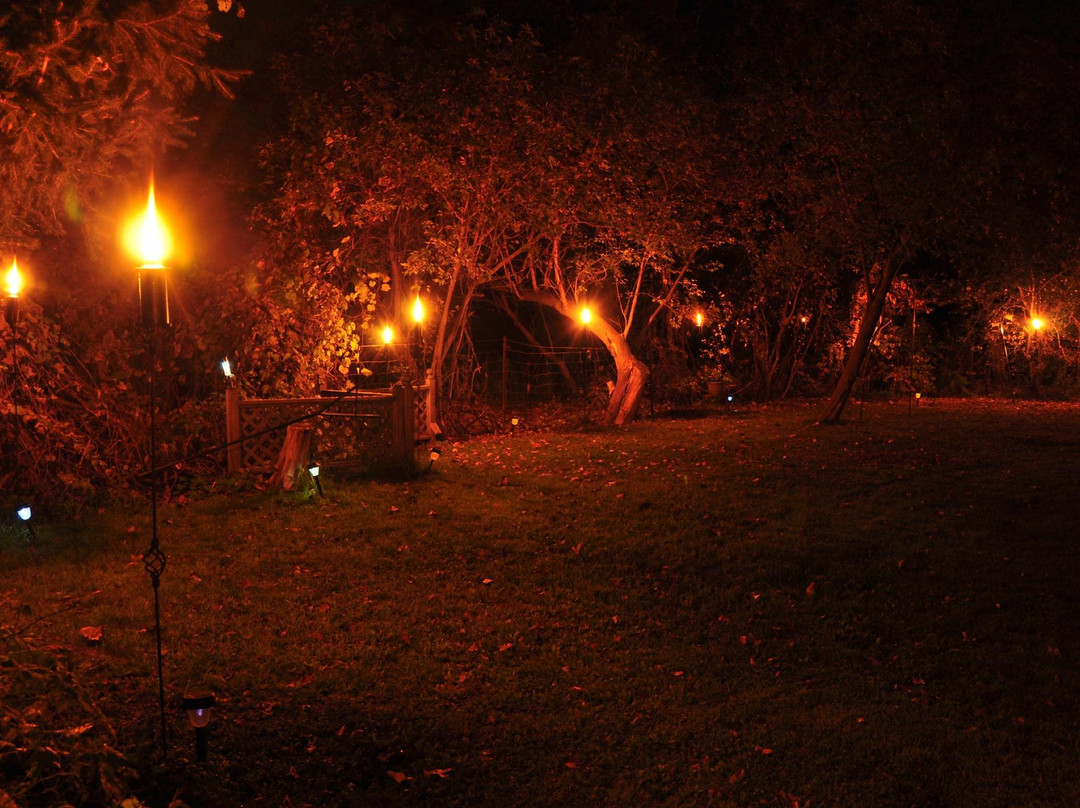 Brant Conservation Area-Brantford必去景点