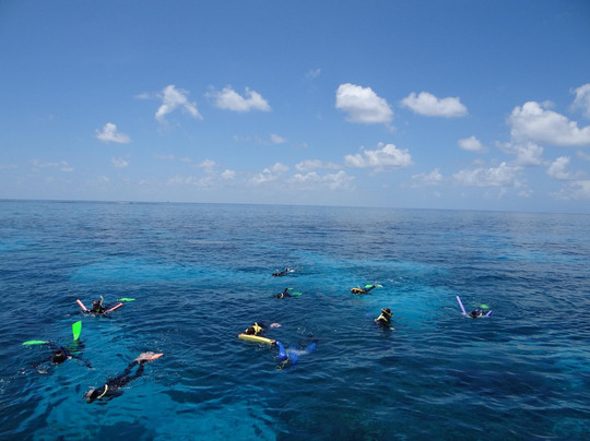 Great Adventures-凯恩斯必去景点