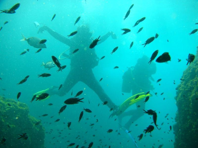 Greenwichdiving - Centro de Buceo-阿尔特阿必去景点