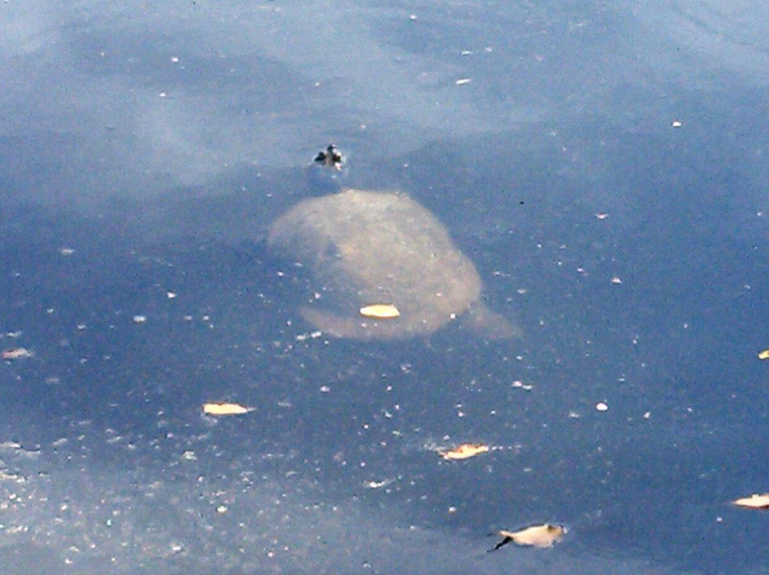 Sleepy Hole Park-Suffolk必去景点