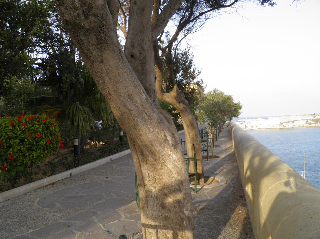 Lower Barrakka Gardens景点图片