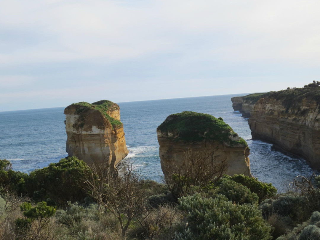 大洋路和坎贝尔港国家公园-坎贝尔港必去景点