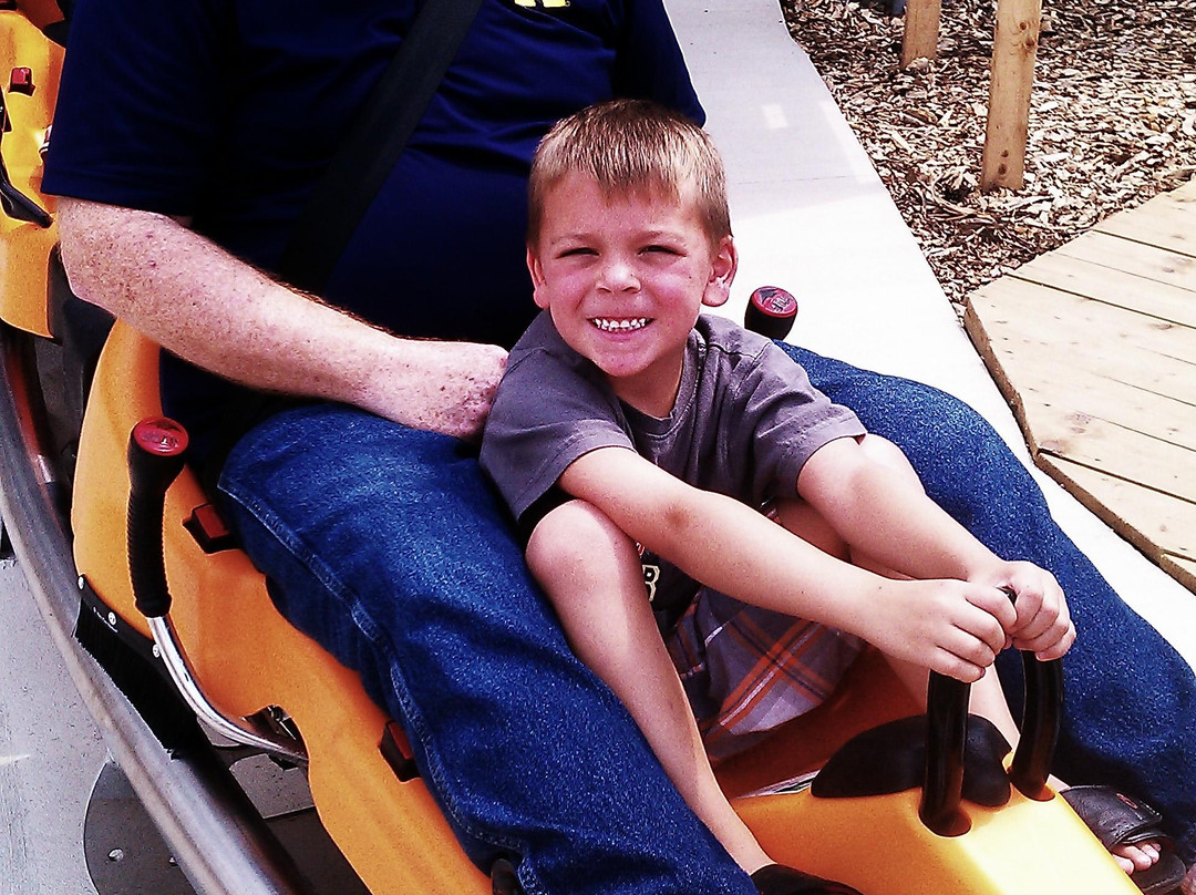 Smoky Mountain Alpine Coaster-皮金福奇必去景点