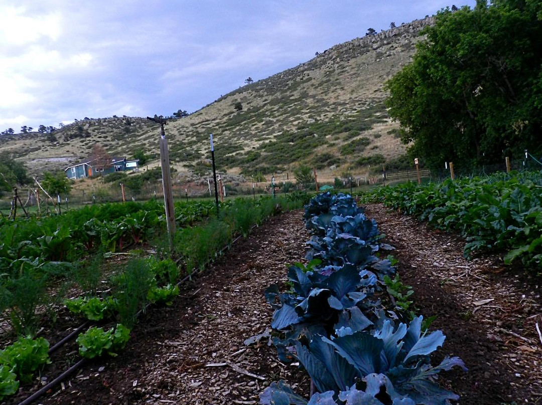 Lyons Farmette-Lyons必去景点