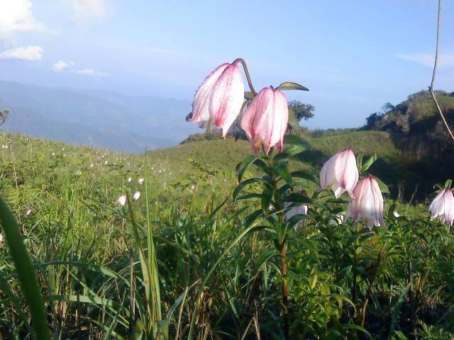 Shirui Kashung-Ukhrul必去景点