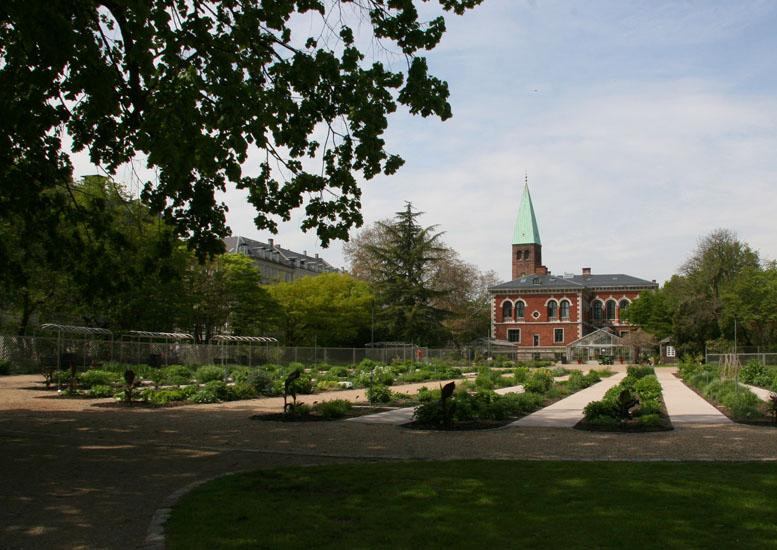 Botanical Garden-哥本哈根必去景点