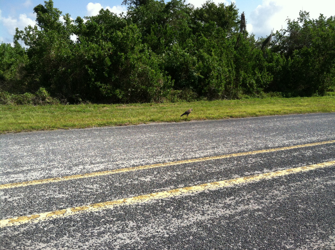 Eco Pond-大沼泽国家公园必去景点