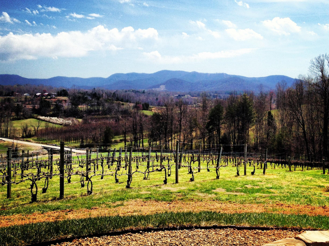 Silver Fork Winery-Morganton必去景点