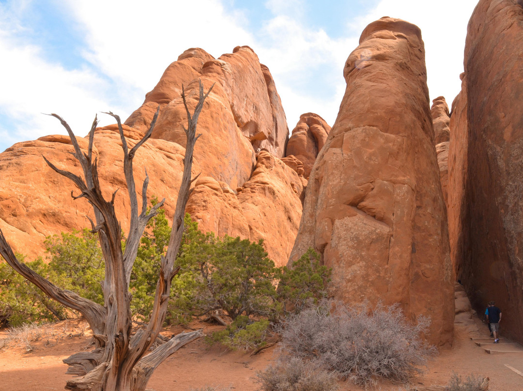 Sand Dune Arch Trail-拱门国家公园必去景点