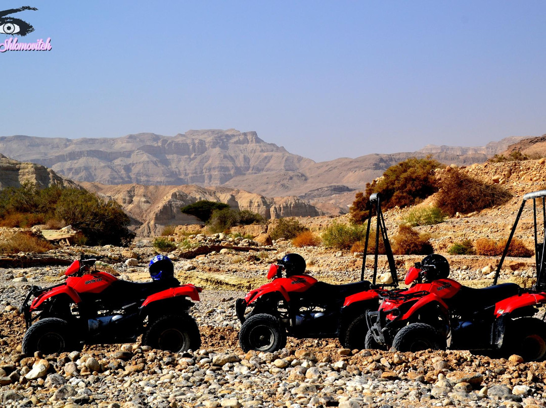 JW Tours Day Tours-Arad必去景点