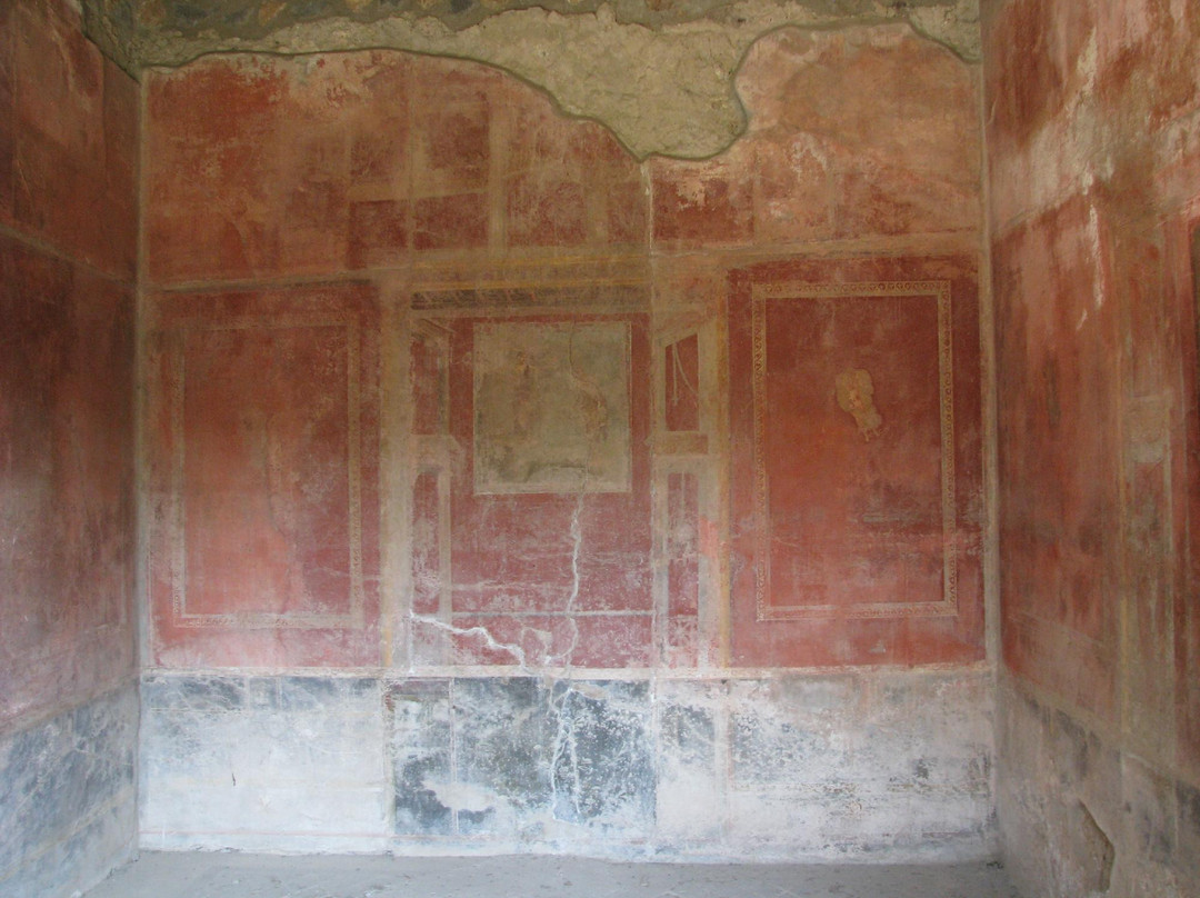 Casa del Menandro景点图片