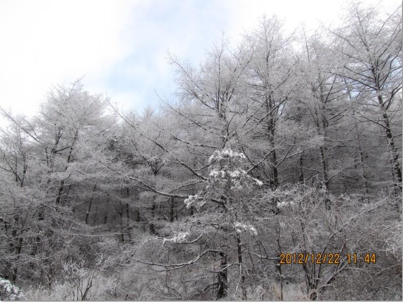 崂山北九水-青岛市必去景点