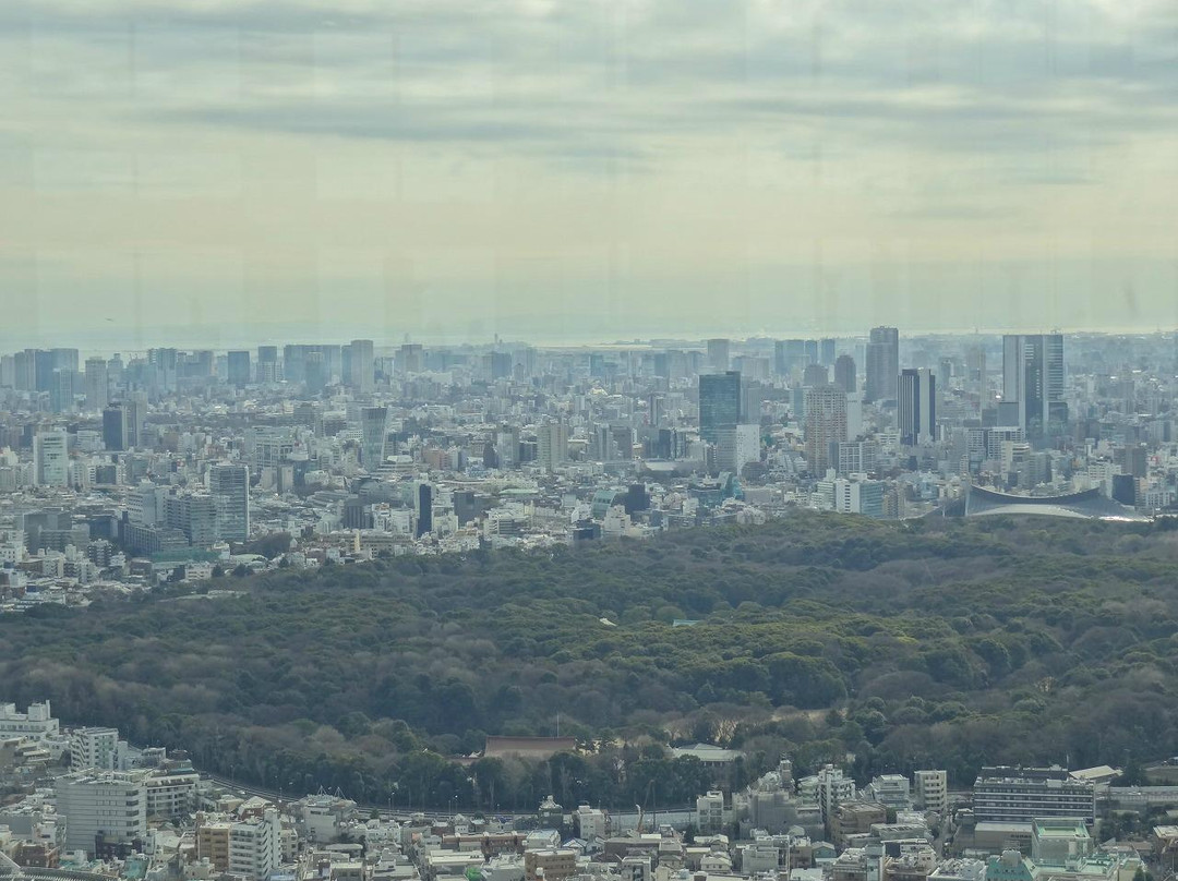 东京都政府办公楼-Nishishinjuku必去景点