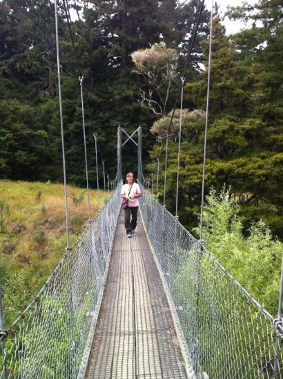 Whangarei Falls景点图片