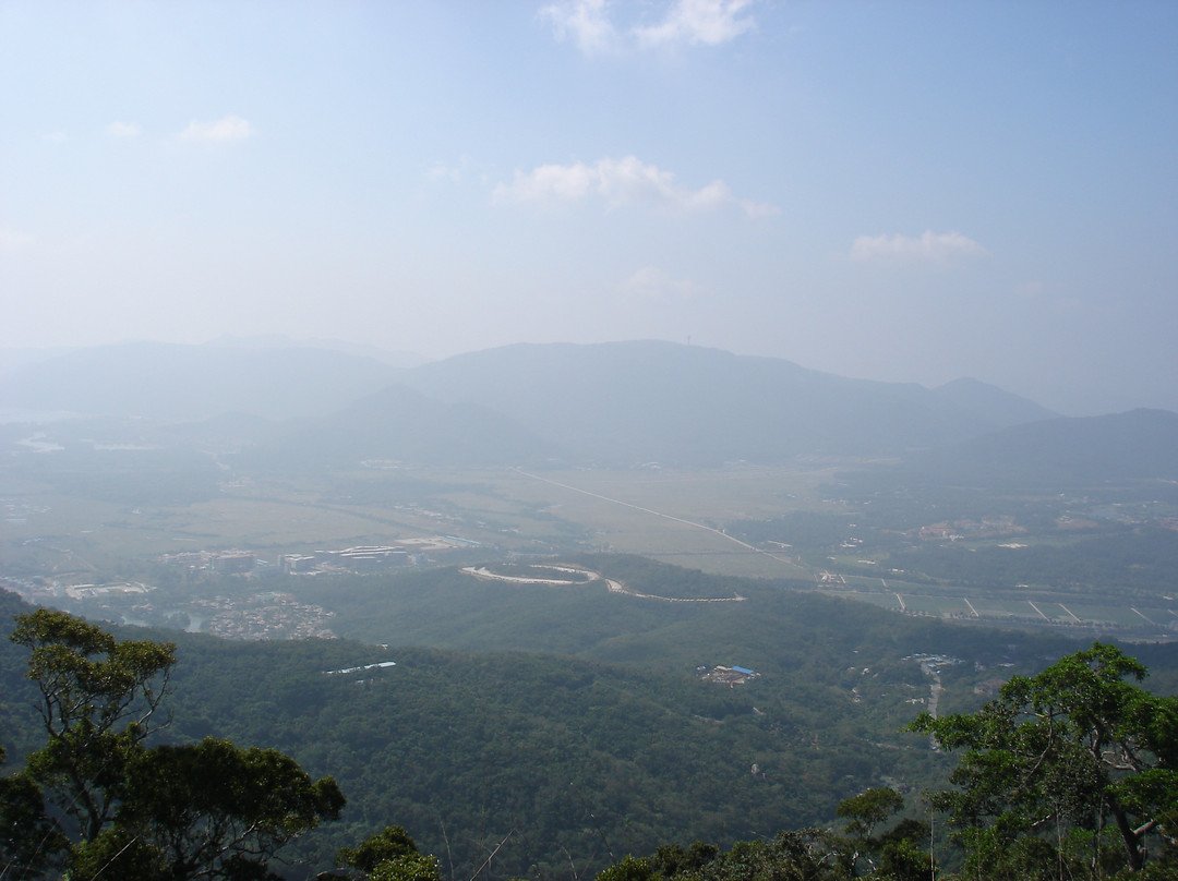 三亚热带天堂（鸟巢）景点图片