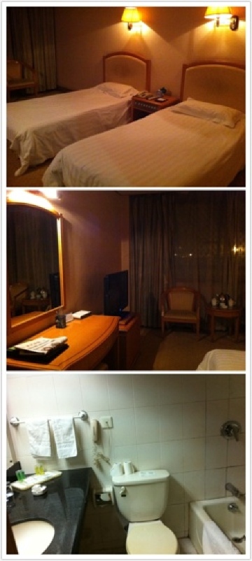 南京佰翔花园酒店（南京禄口机场店）-客卧