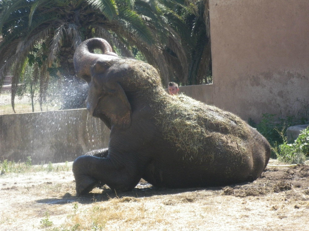 Parc Zoologique de Frejus-弗雷瑞斯必去景点