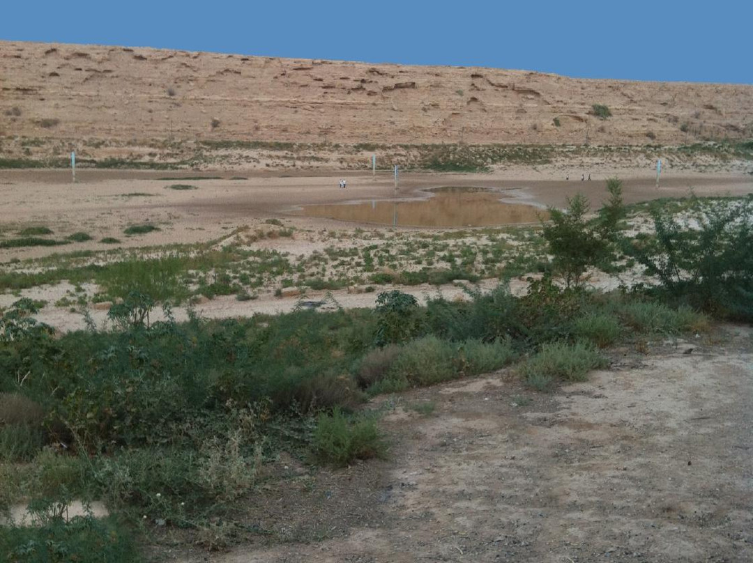 Wadi Hanifa景点图片