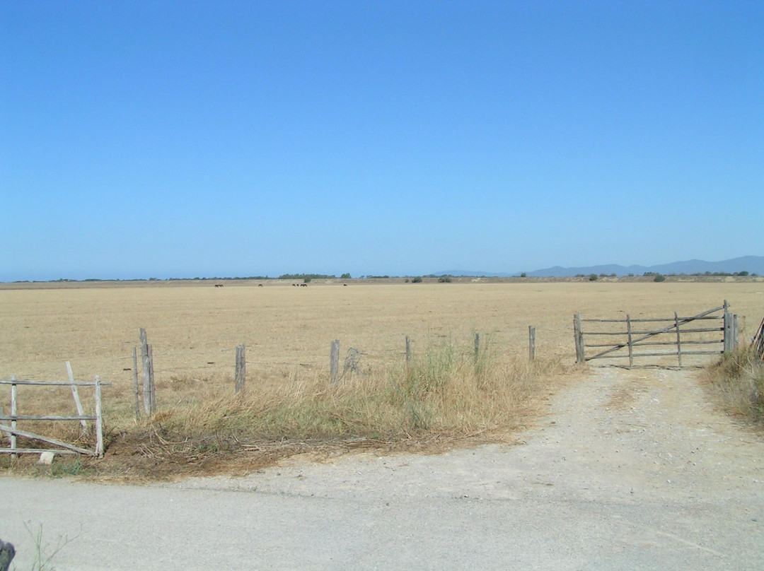 Parco Naturale della Maremma景点图片