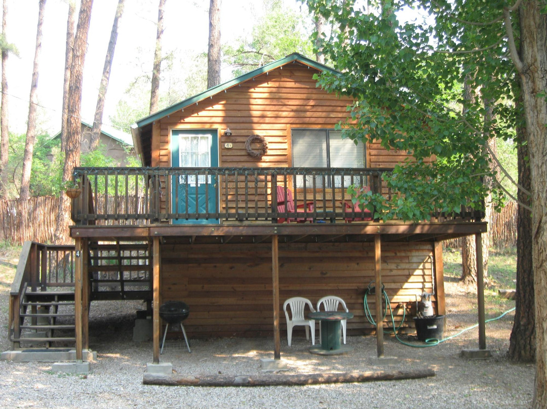 Cozy Bear Cabins
