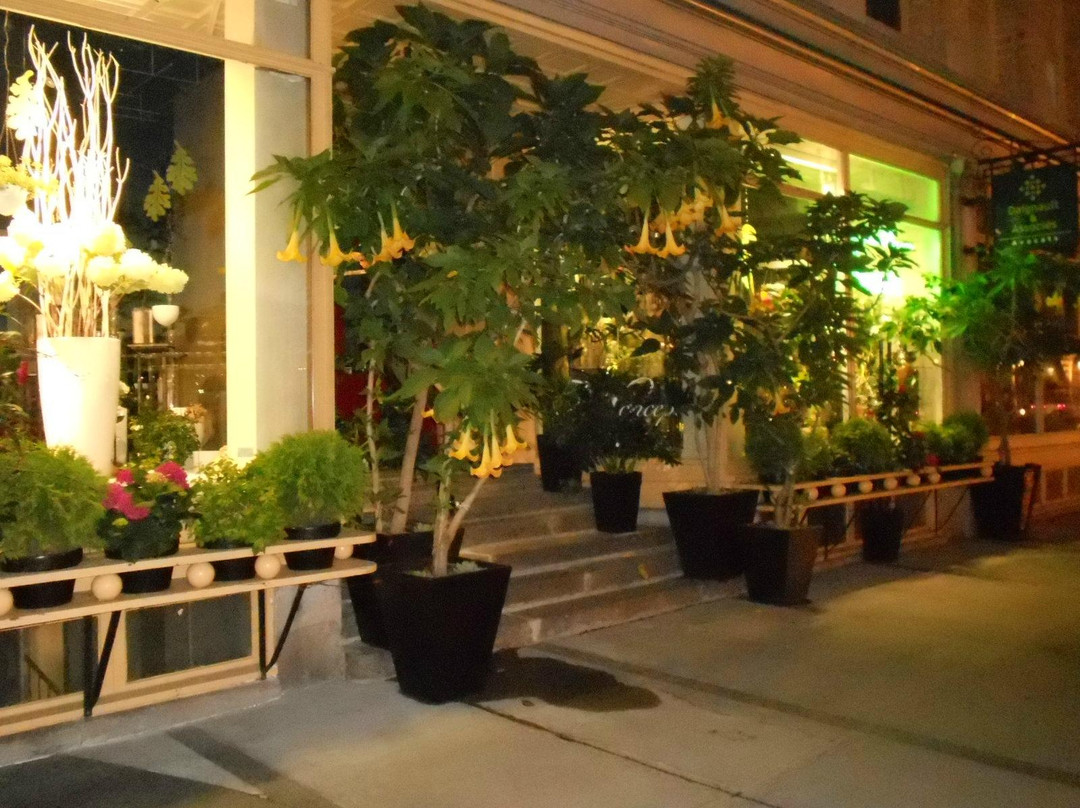 下城区-魁北克市必去景点