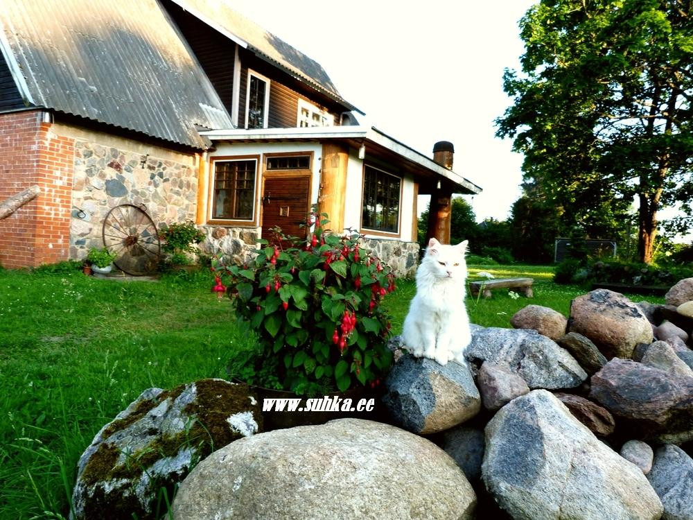 Suhka Tourist Farm主图