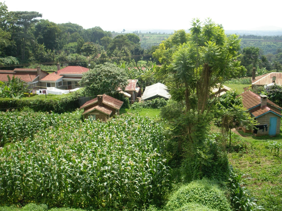 Westwood Hotel主图