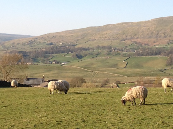 Wensleydale Creamery景点图片