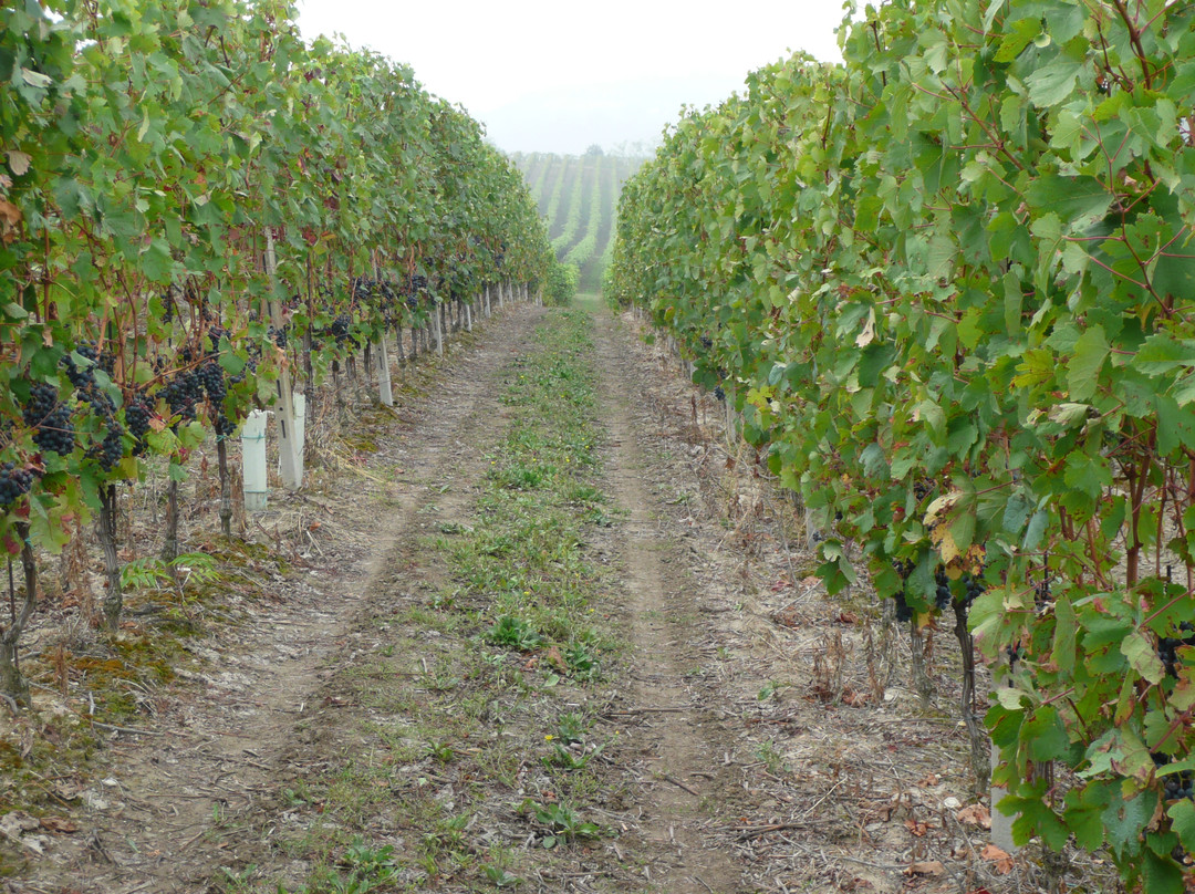 Agriturismo Barbanera主图